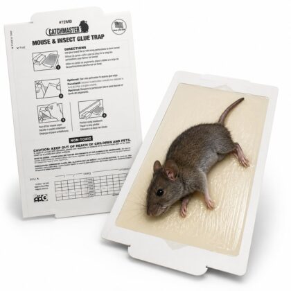Plaque de Glu Souris & Insectes Catchmaster 72MB — Lot de 10 (Beurre de Cacahuète, USA)