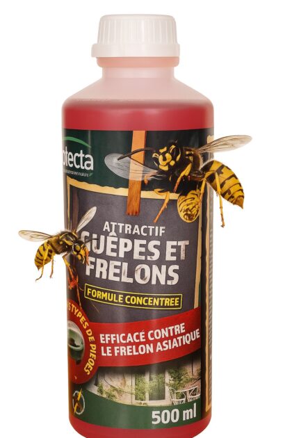Protecta Attractif Guêpes et Frelons 500 ml - Formule Concentrée