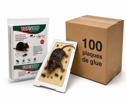 Carton de 100 plaques de glu TopiStop InPest - Trappe adhesive aromatisee pour souris et insectes rampants - Sans insecticide - Made in Italy - Format pro volume