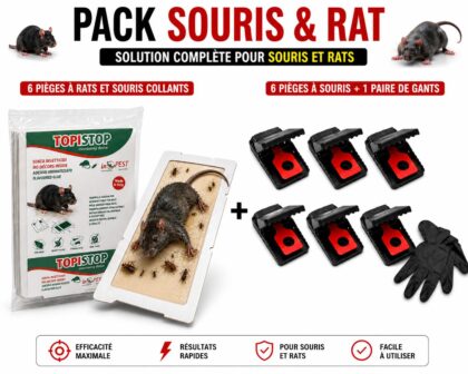 Pack Souris et Rat solution complete sans poison : 10 plaques TopiStop + 6 pieges mecaniques + gants nitrile. Vente libre particuliers.